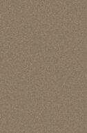 DecoCoat_Swatch_91T3059M_matt_duratec-eternity-champagne-kinetic-matt