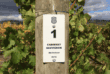 CARD_DecoSign-Wineyard-Sign