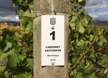 CARD_DecoSign-Wineyard-Sign