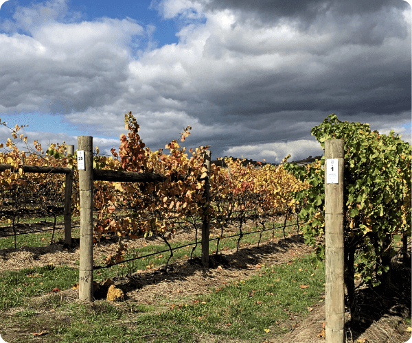 Signage_HelensHillEstate_Carousel