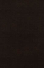 DecoWood_Wenge-Swatch