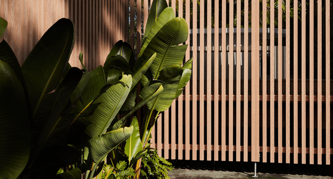 NEWS_Inbetween_text_600x375_ShannonVos-03