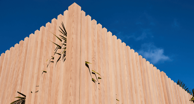 News_ShannonVos_RenoAdvice-3-2